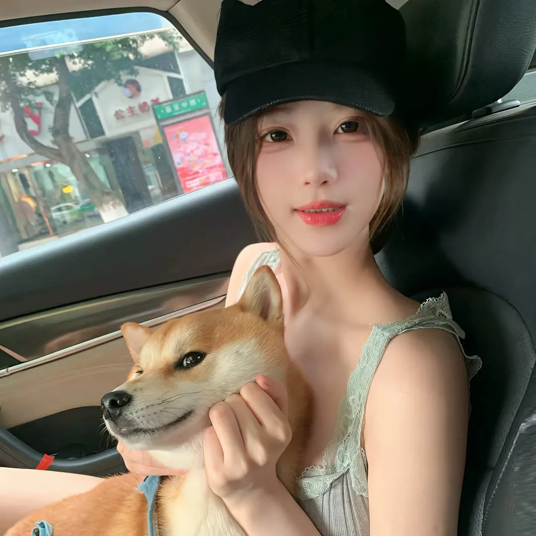 爱情动物